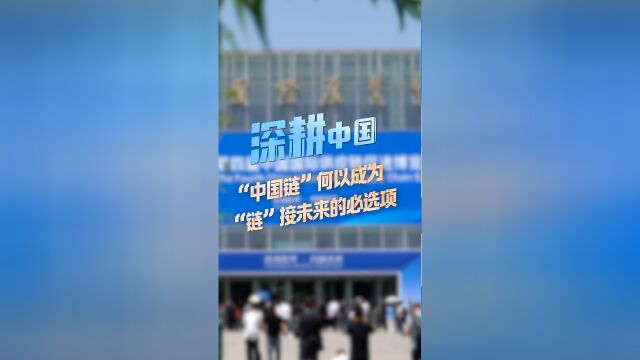 中国链何以成为链接未来的必选项