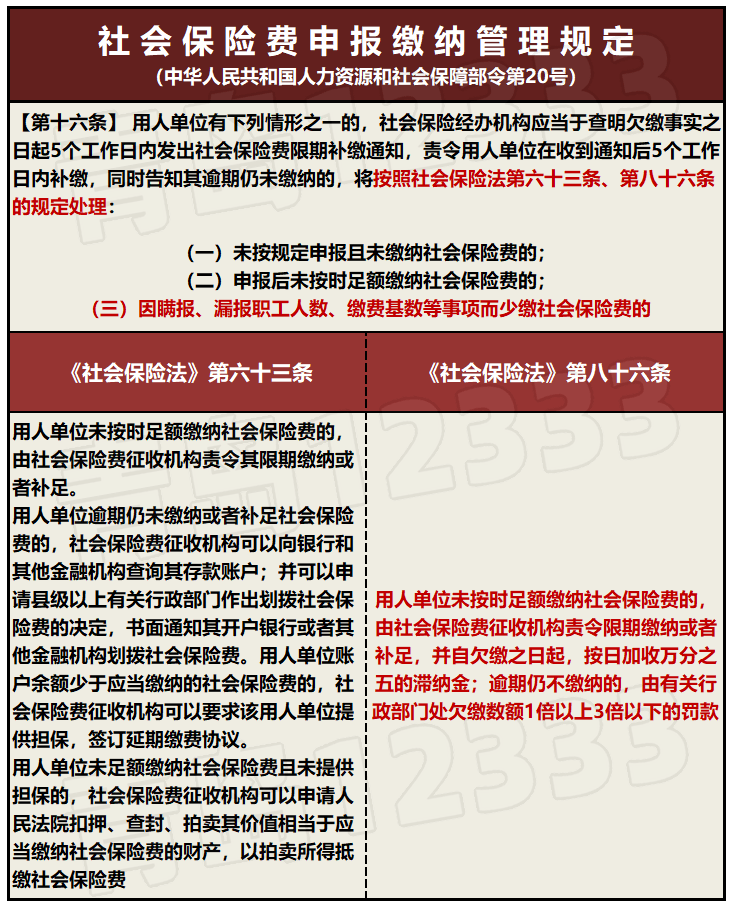 社保缴费基数到底按什么算？——一次接地气的费曼式解读