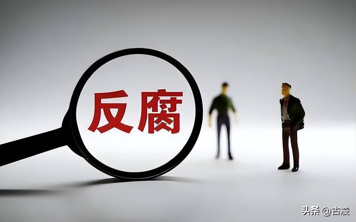 杨有林贪腐案，22亿巨贪背后的警示与反思