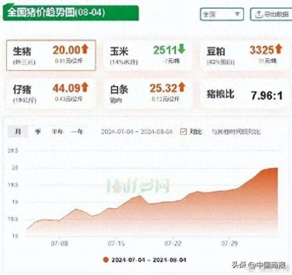 猪价站上11元,这次有何不同? 猪价站上11元,这次有何不同?