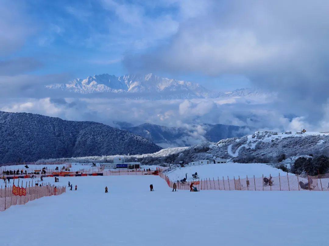 谷爱凌世界杯冠军，滑雪天才背后的训练密码与心理战术